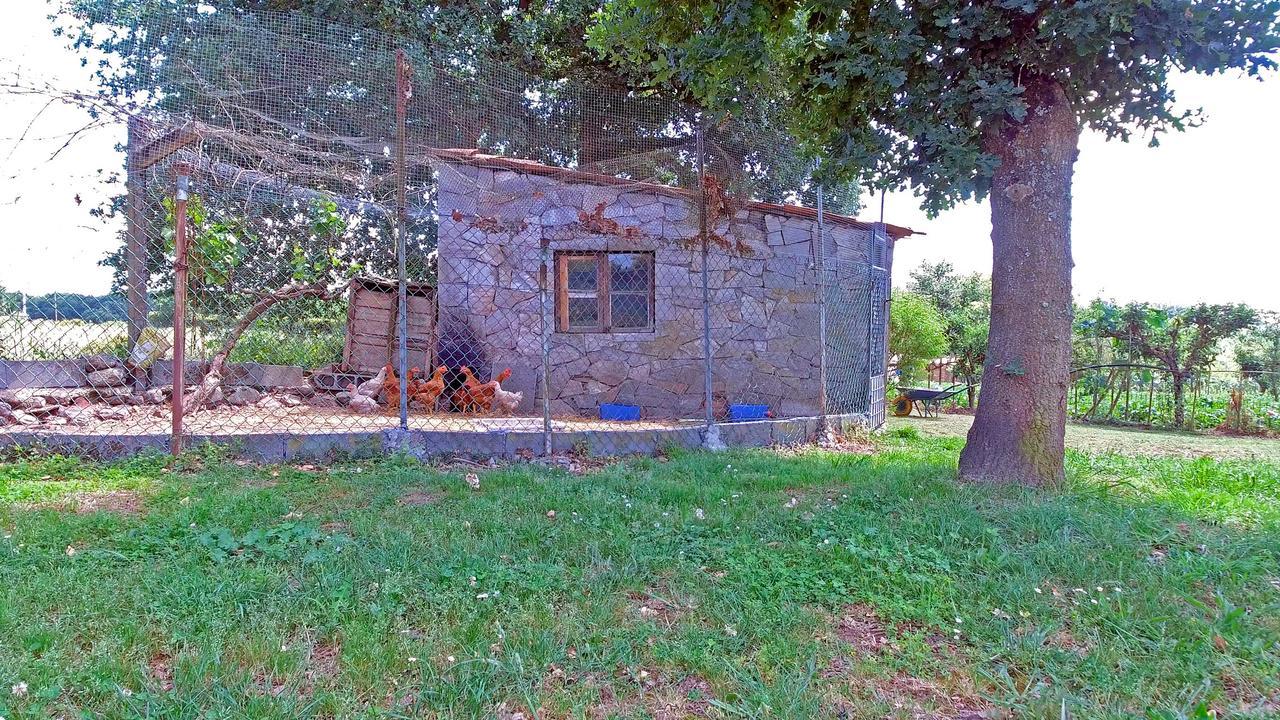 Torre Vilarino Guest House Vilarino  Exterior foto